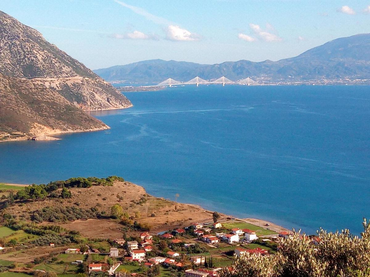 Villa The Platanus Tree Kato Vasiliki Экстерьер фото
