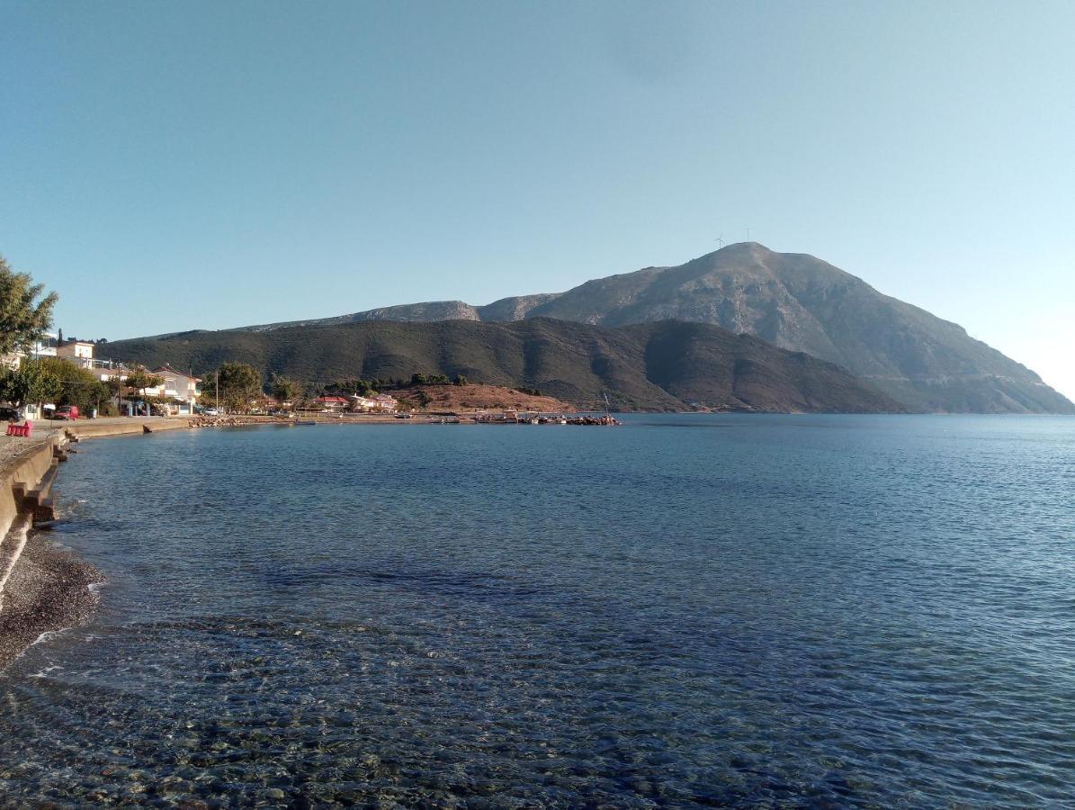 Villa The Platanus Tree Kato Vasiliki Экстерьер фото