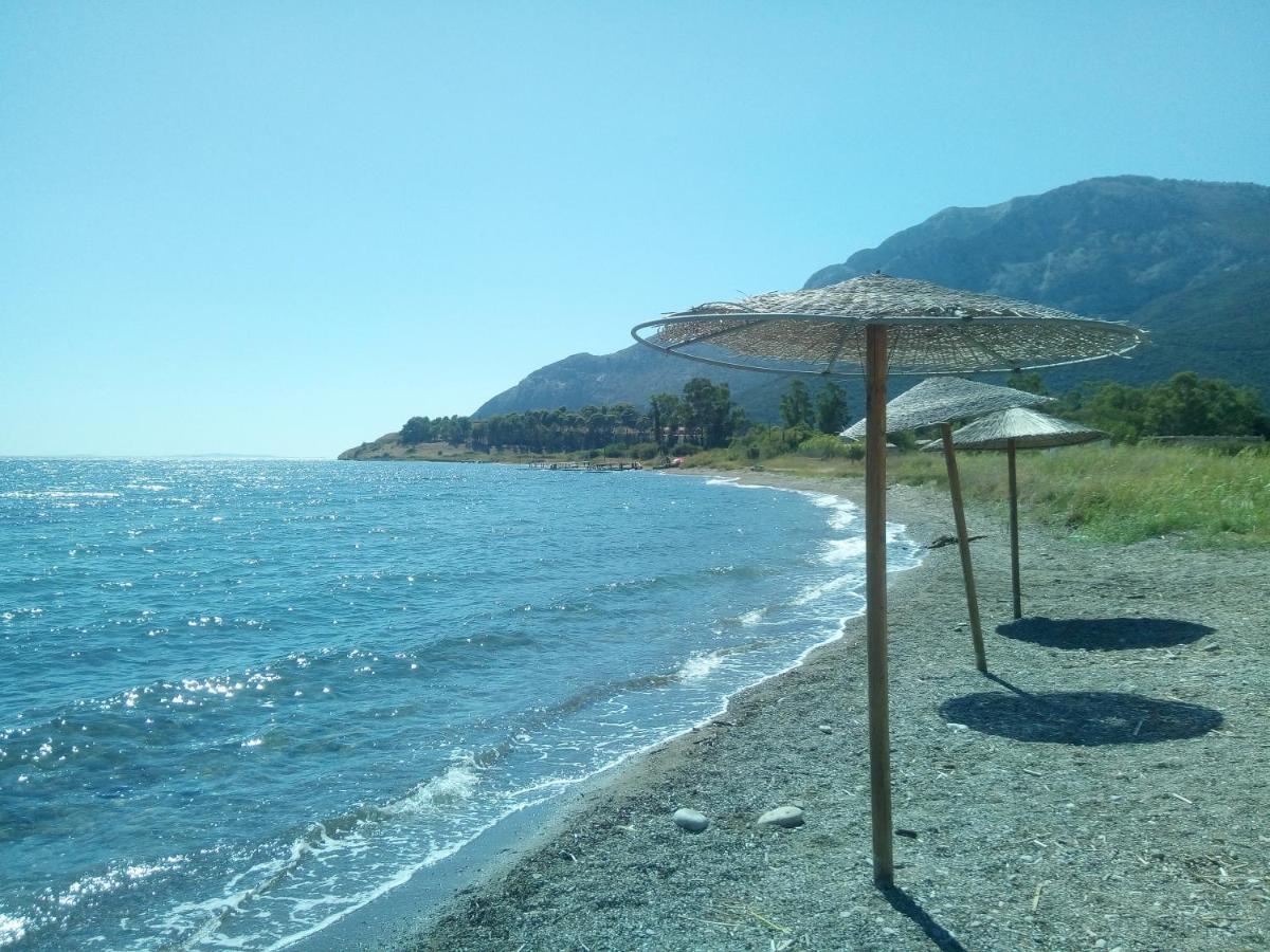 Villa The Platanus Tree Kato Vasiliki Экстерьер фото