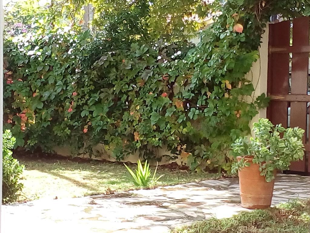 Villa The Platanus Tree Kato Vasiliki Экстерьер фото