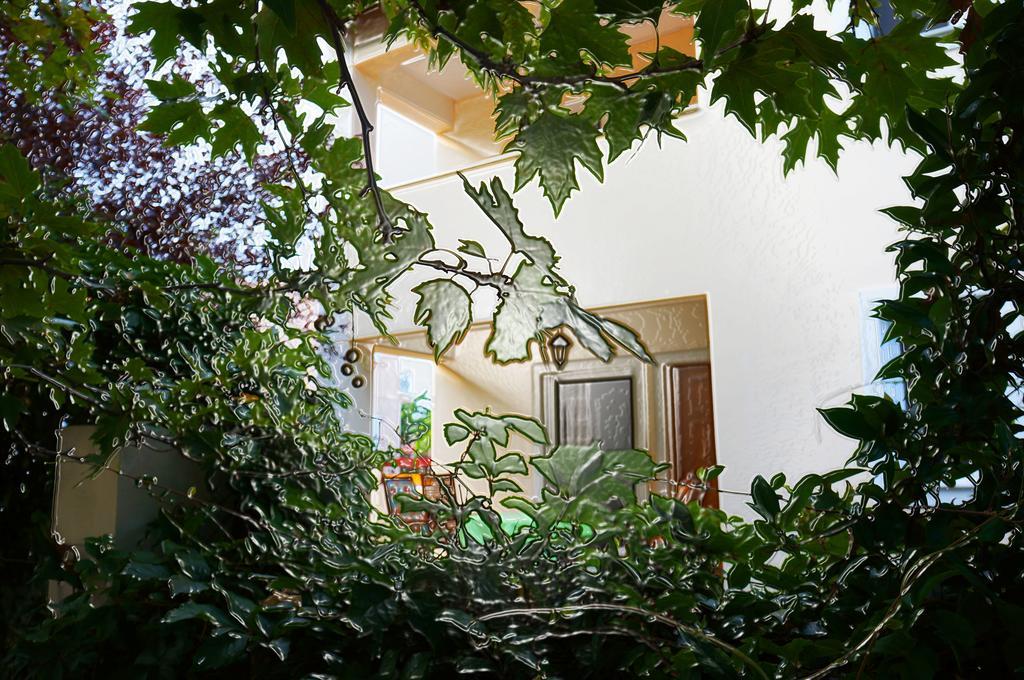 Villa The Platanus Tree Kato Vasiliki Экстерьер фото