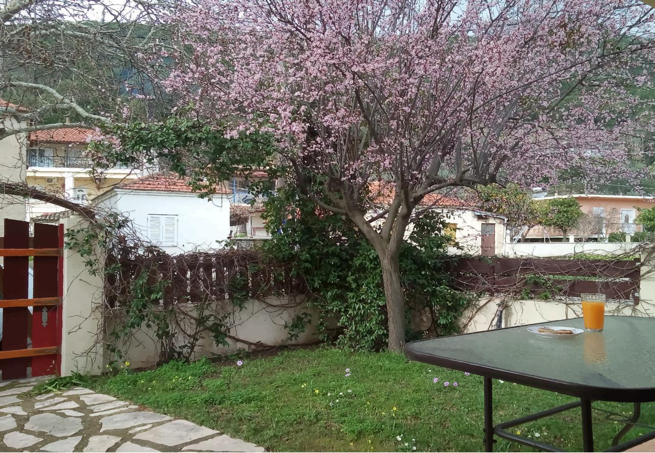 Villa The Platanus Tree Kato Vasiliki Экстерьер фото