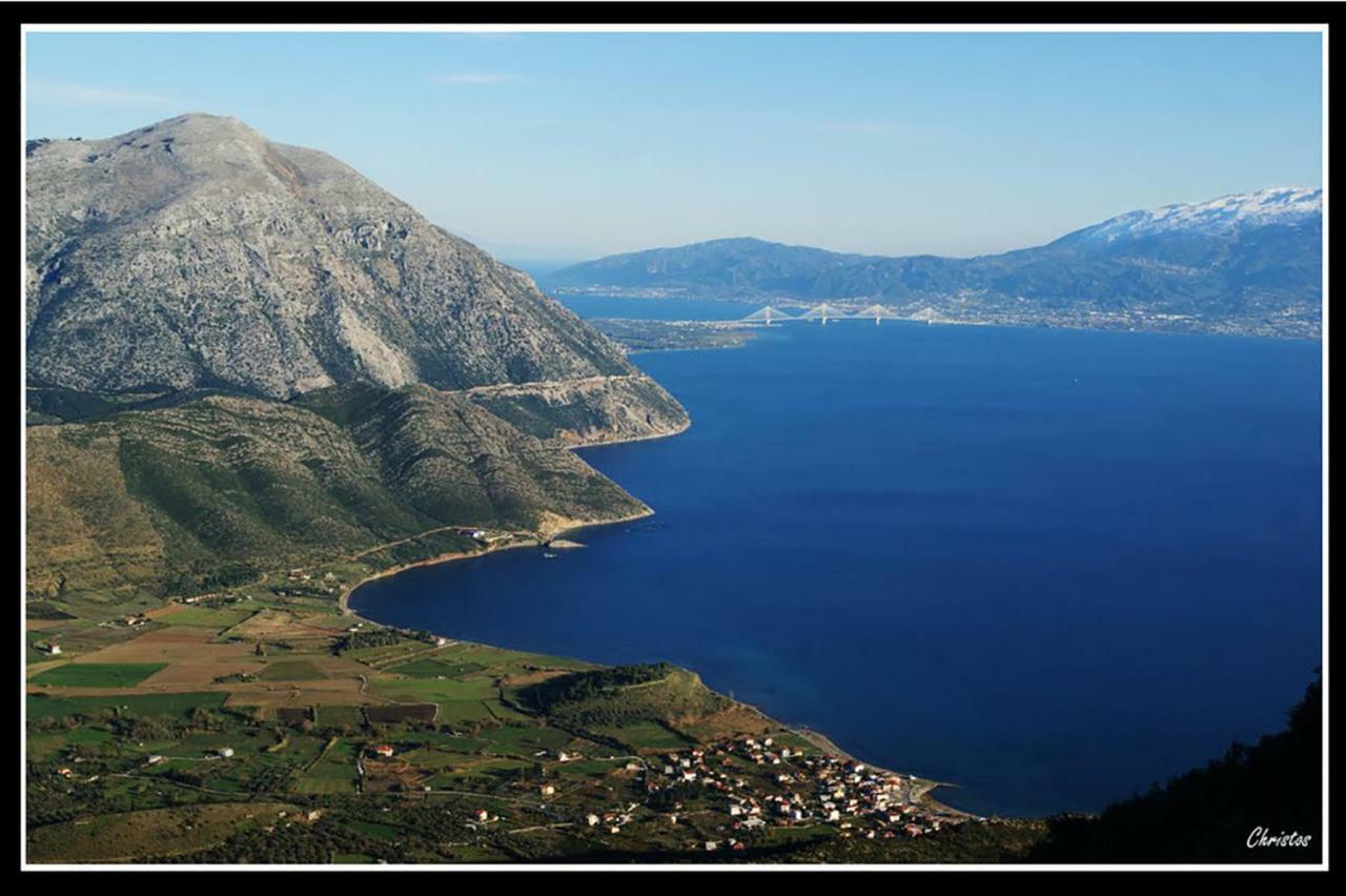 Villa The Platanus Tree Kato Vasiliki Экстерьер фото